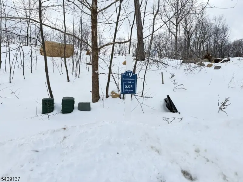 9 Bristol Ridge Rd, Boonton Township, NJ 07005 - #3