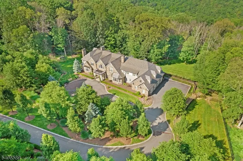 4 Rainetree Rdg, Mendham Township, NJ 07945 - #2