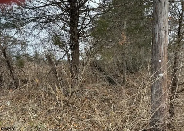 23 Coddington Road, Readington Twp., NJ 08889