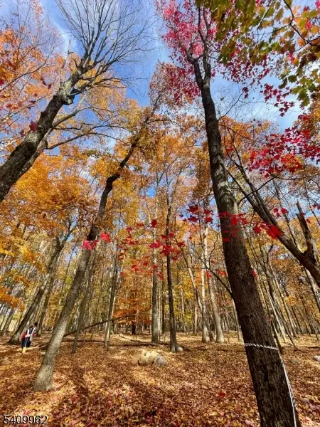 924 Middleville Rd, Stillwater, NJ 07860 - #1