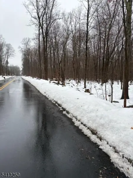 0 Schoolhouse Rd, Oak Ridge, NJ 07438 - #3