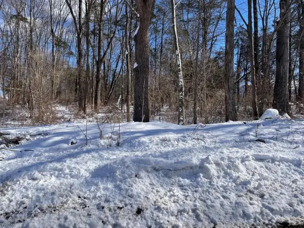 0 Potters Rd, Stillwater Twp., NJ 07860