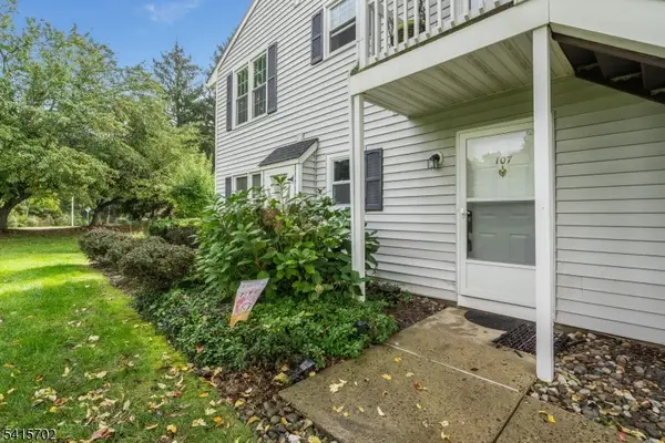 107 Huckleberry Ct, Readington Twp., NJ 08887