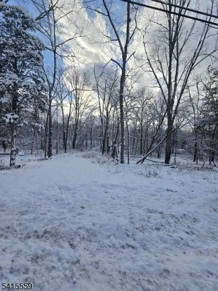 121 Bellemead Griggstown Rd, Harlingen, NJ 08502 - #3