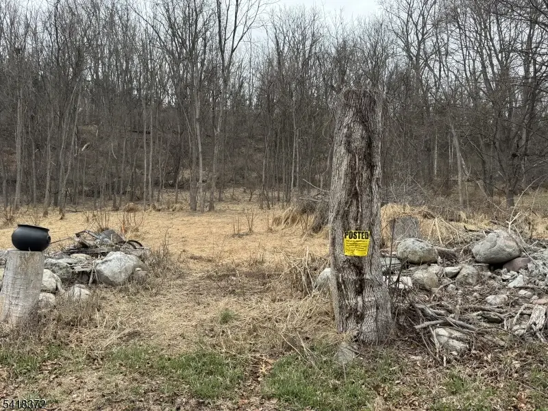 16 Cleveland Rd, Blairstown, NJ 07832 - #2