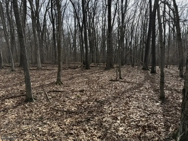 162 North Rd, Chester, NJ 07930 - #2