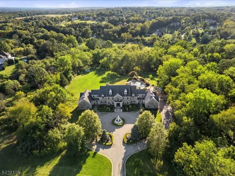 406 Caruso Ct, Neshanic Station, NJ 08853 - #2