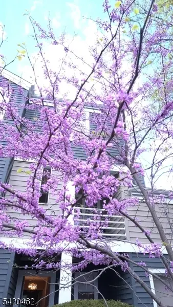 273 Greenfield Rd, Bridgewater, NJ 08807 - #2
