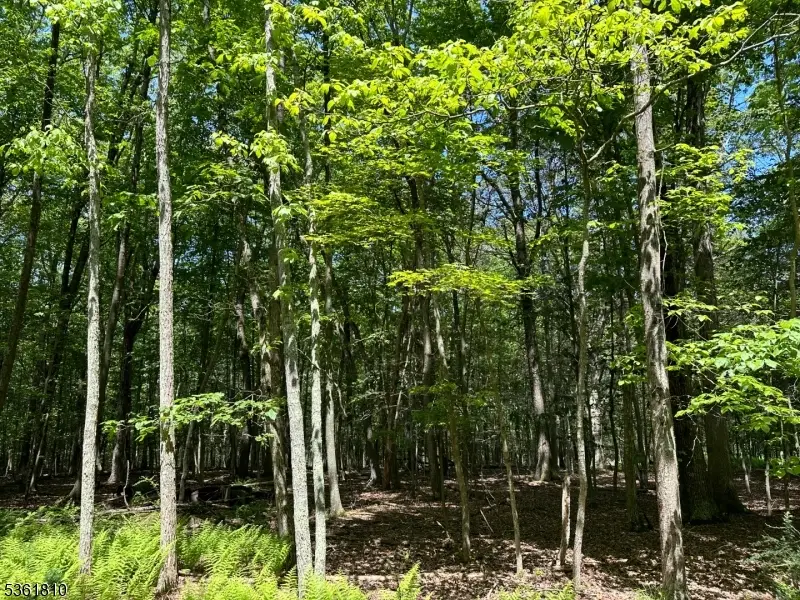 0 Devita Rd, Sandyston, NJ 07826 - #2