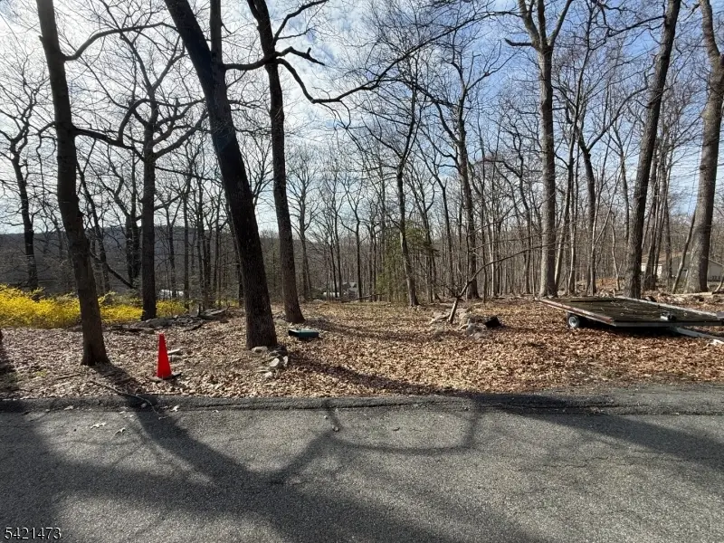 48 Alexandria Ave, Hopatcong, NJ 07821 - #3