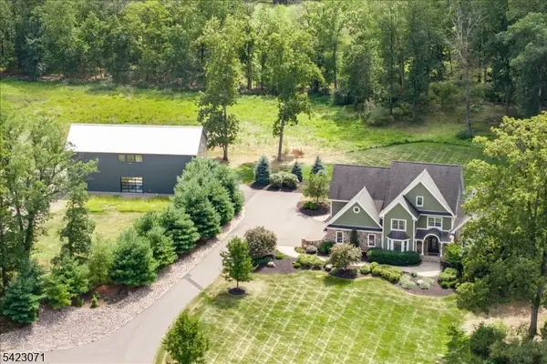29 Tumble Falls Rd, Kingwood Twp., NJ 08559