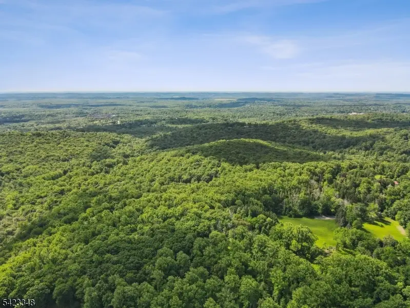 160 Jockey Hollow Rd, Bernardsville, NJ 07924 - #2