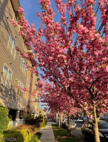 594-596 Jefferson Ave #203, Elizabeth, NJ 07201 - #1