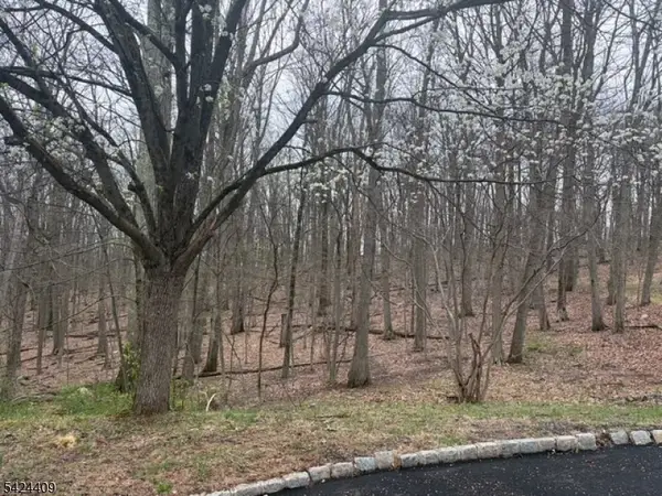 14 Cathy Ln, Mount Olive Twp., NJ 07836