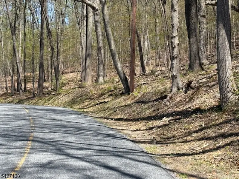 328 Hackett Rd, Bethlehem, NJ 08827 - #1