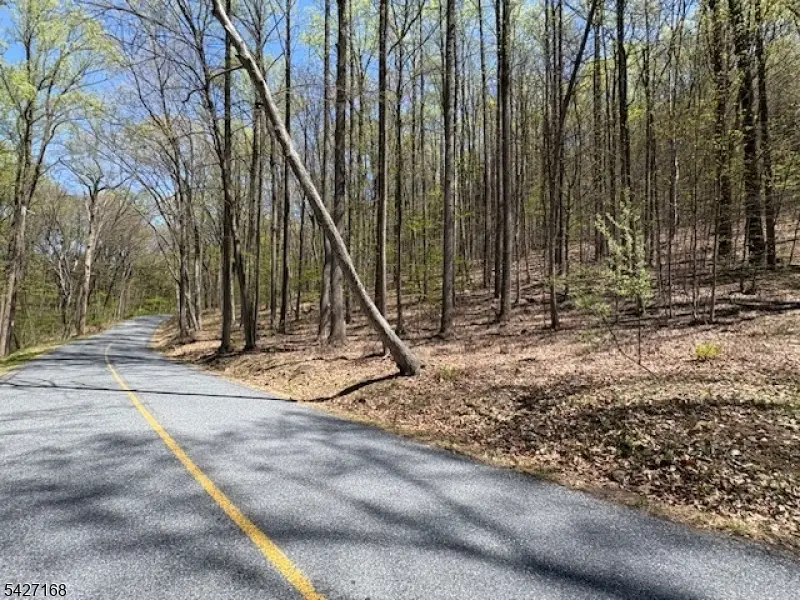 328 Hackett Rd, Bethlehem, NJ 08827 - #2