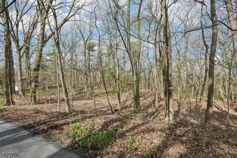11 Alamoosook Rd, Vernon, NJ 07422 - #3