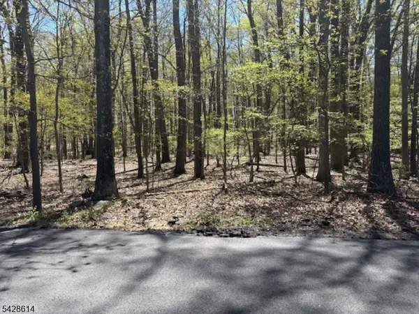 61 Quenby Mountain Rd, Liberty Twp., NJ 07838