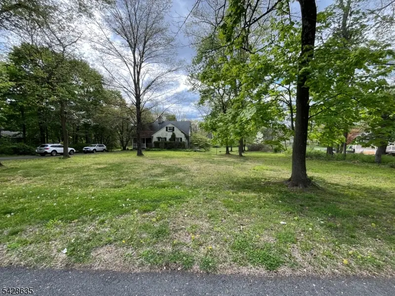 317 S Finley Ave, Lyons, NJ 07920 - #1