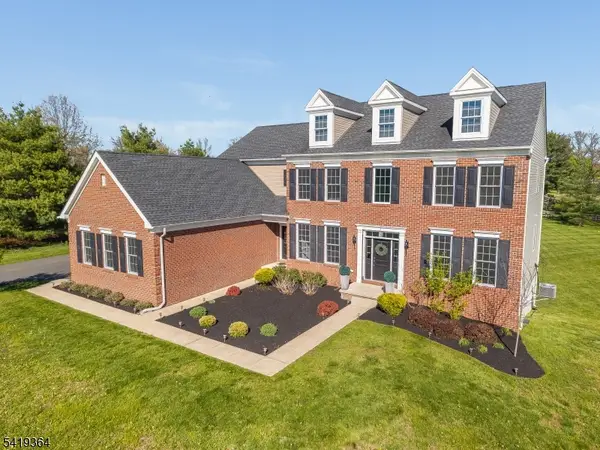 1 Belmont Ct, Alexandria Twp., NJ 08867