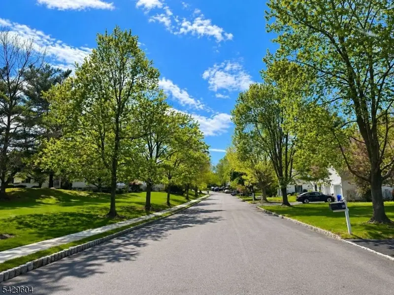 170 Smithfield Ct, Bernards, NJ 07920 - #2