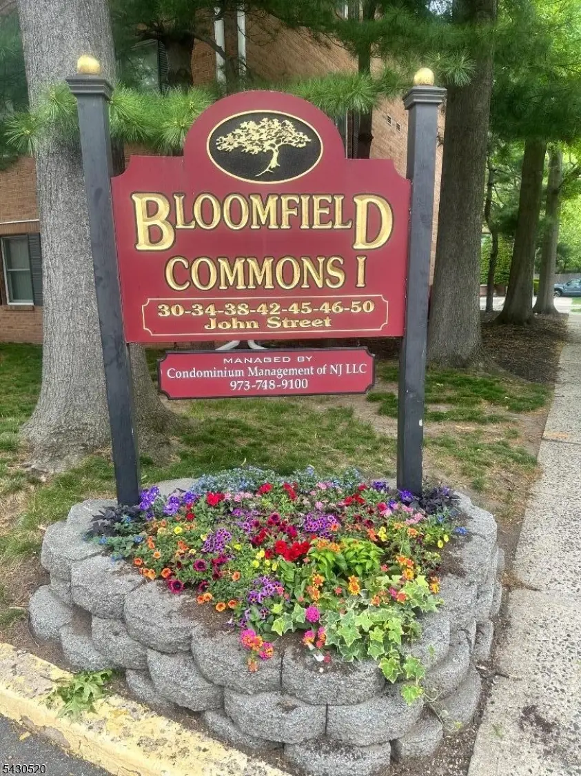 45 John St #3A, Bloomfield, NJ 07003 - #1