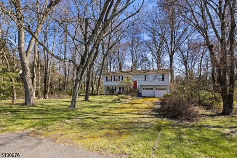 132 Goltra Dr, Liberty Corner, NJ 07920 - #1
