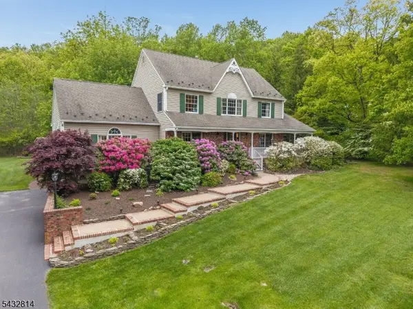 4 Drake Ct, Holland Twp., NJ 08848