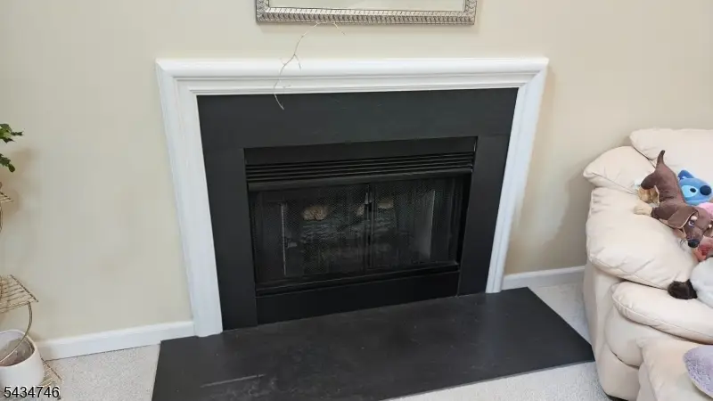 5 Jupiter Hills Ct, Skillman, NJ 08558 - #3