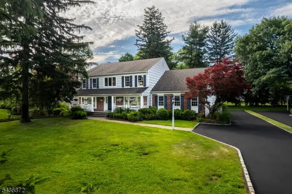 150 Noe Ave, Chatham Twp., NJ 07928