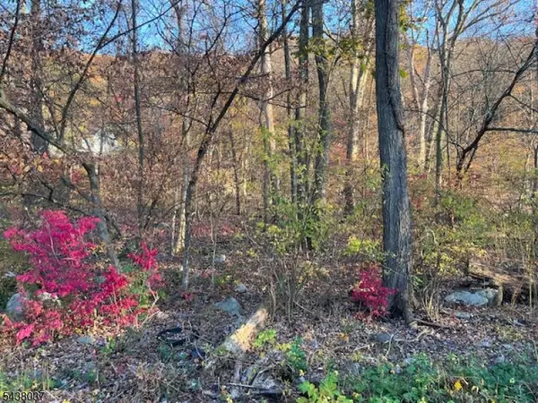 9 Old Woodland Trl, Jefferson Twp., NJ 07438
