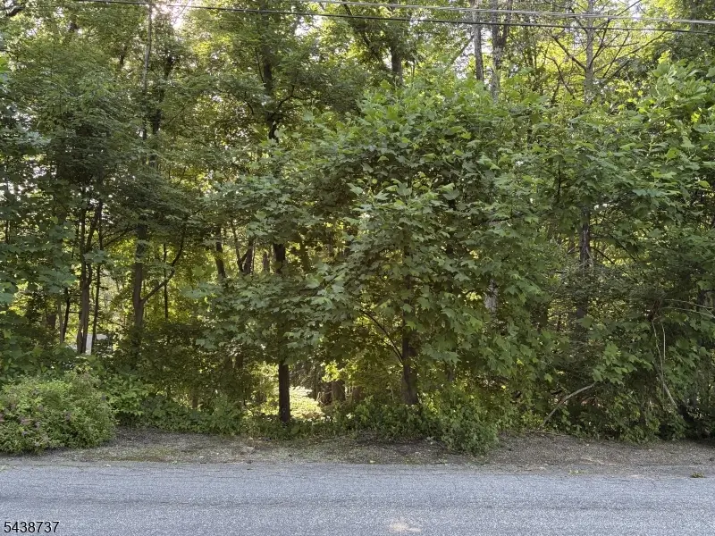 14 Up-a-way Dr, Vernon, NJ 07461 - #2