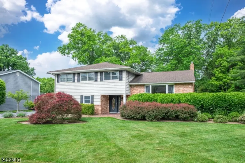 11 Crane Dr, Pine Brook, NJ 07058 - #2