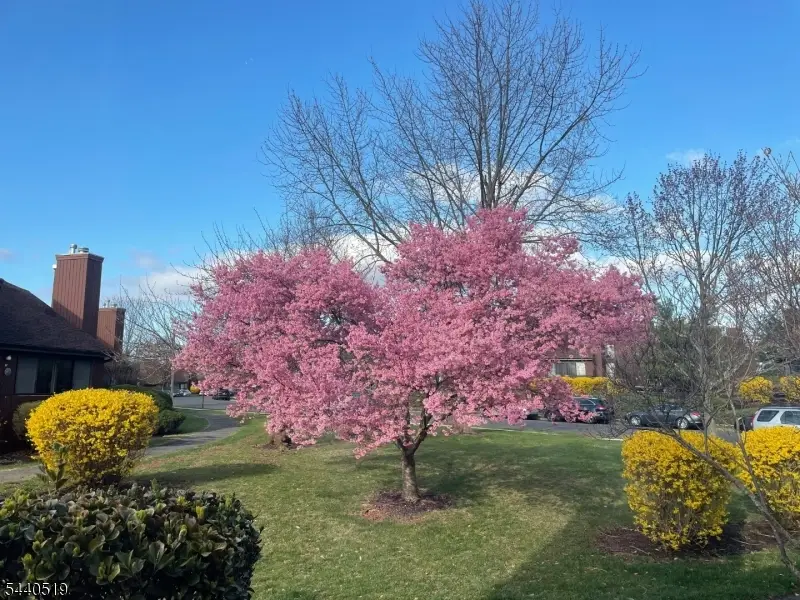25 Bloomingdale Dr #2C, Hillsborough, NJ 08844 - #1