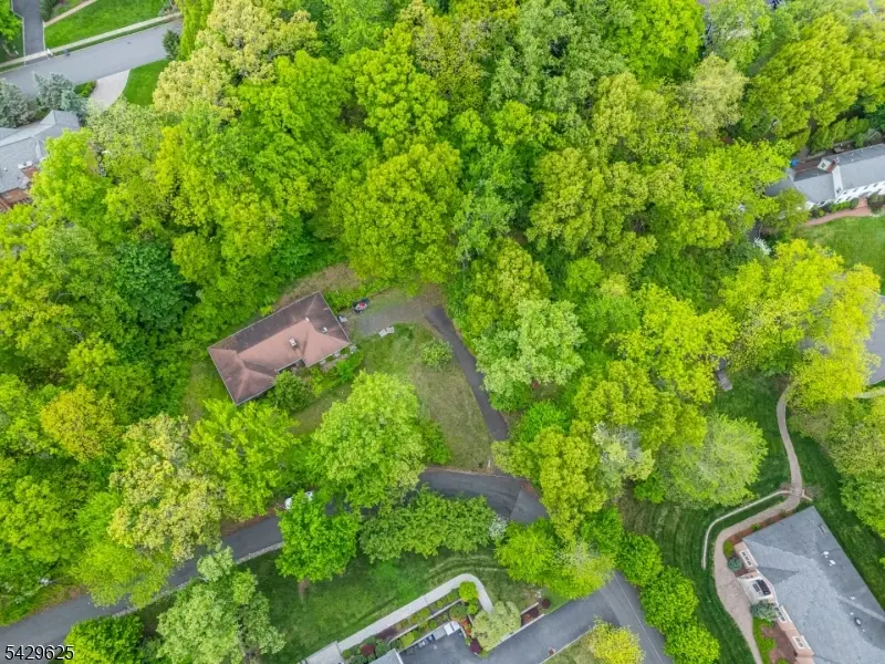 50 Mountain Ave, Chatham, NJ 07928 - #3