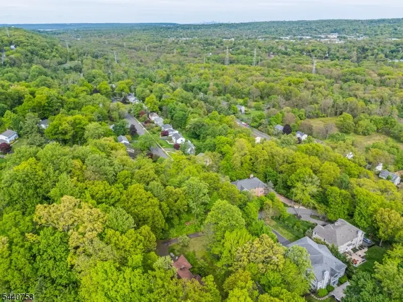 46 Mountain Ave, Chatham, NJ 07928 - #1