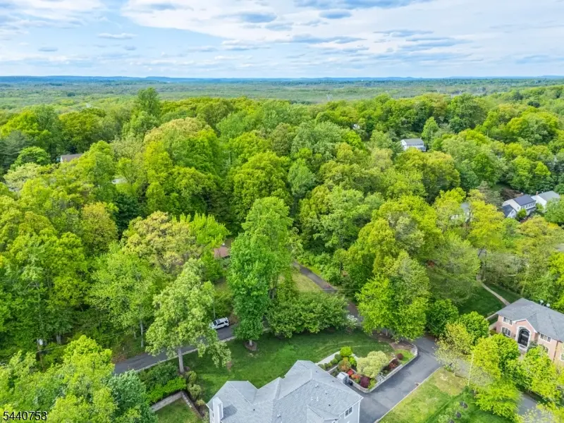 46 Mountain Ave, Chatham, NJ 07928 - #3