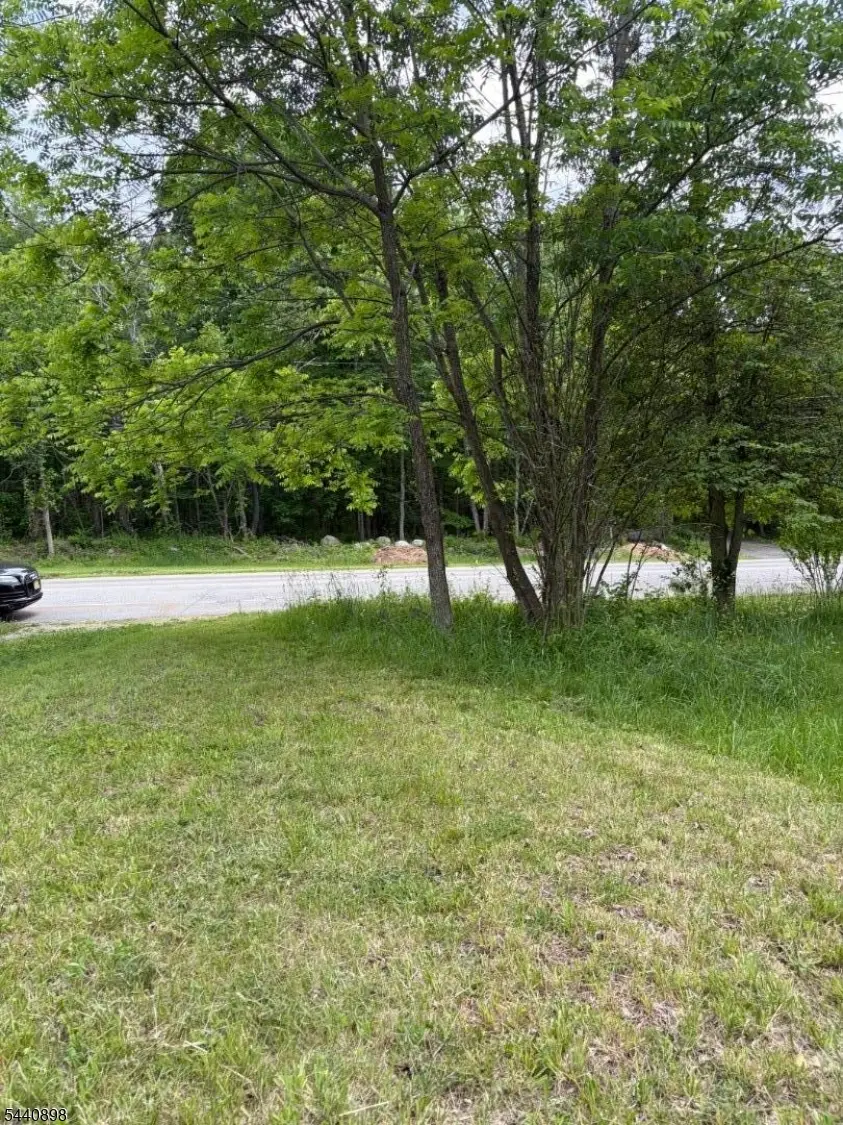 25 Kemah Mecca Lake Rd, Hampton, NJ 07860 - #2