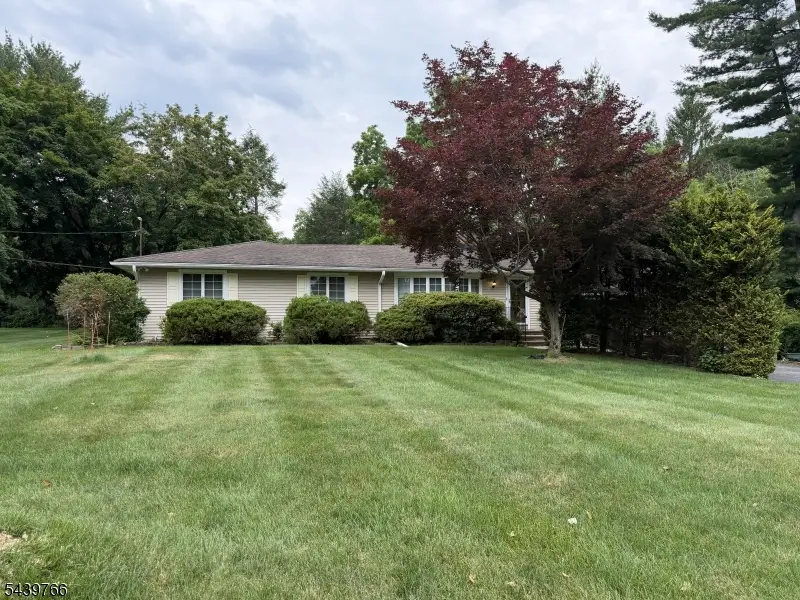41 Carey Rd, Flanders, NJ 07876 - #1