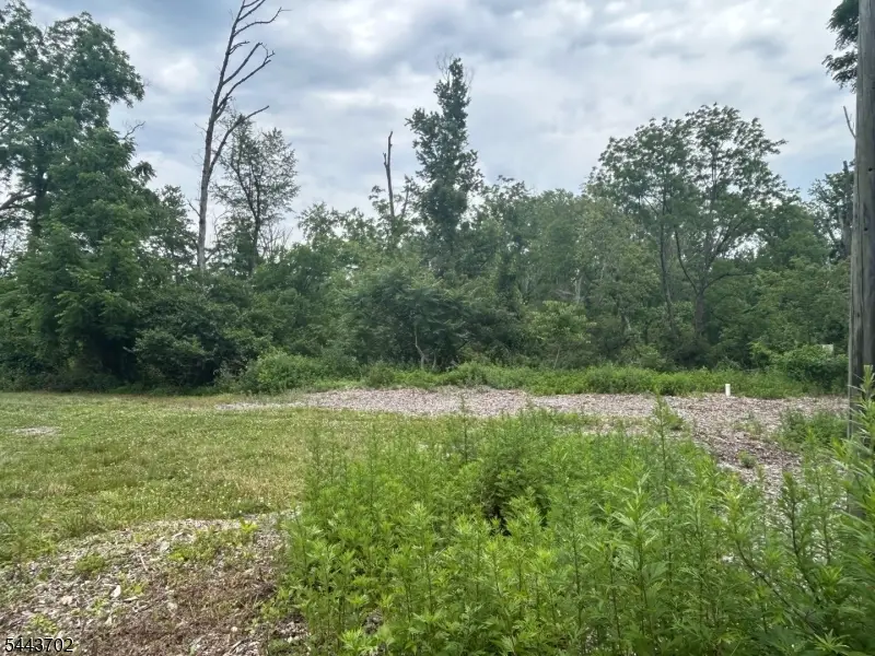 425 Pittstown Rd, Pittstown, NJ 08867 - #1