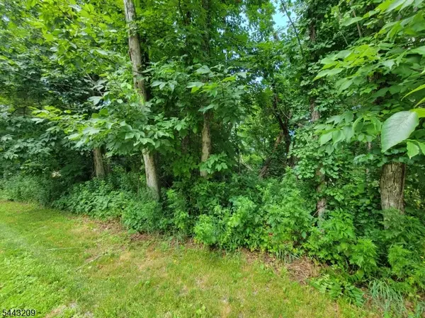 104 Armstrong Rd, Montague Twp., NJ 07827