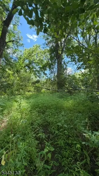 742 Townsbury Rd, Independence, NJ 07838 - #3