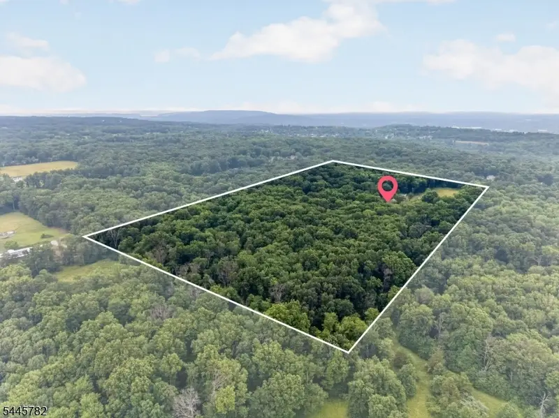 41 Featherbed Lane, Raritan, NJ 08822 - #2