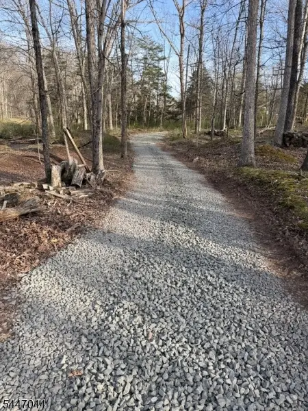 24 Shagbark Ln, Whitehouse Station, NJ 08889 - #2