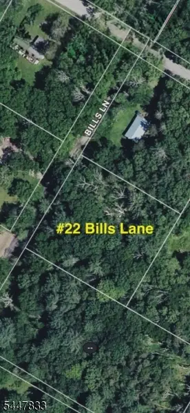 22 Bills Ln, Montague, NJ 07827 - #2