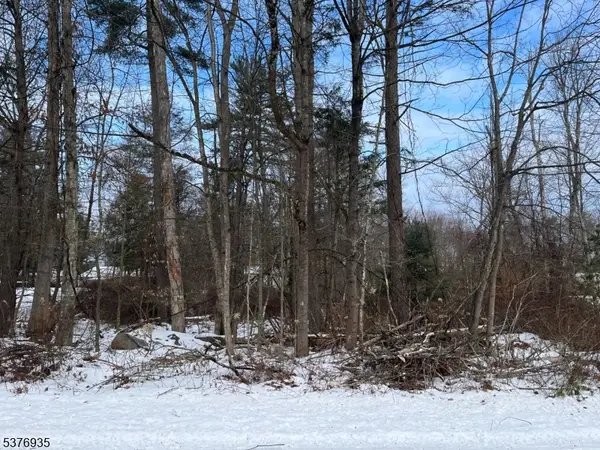 260 Old Chimney Ridge Rd, Montague Twp., NJ 07827