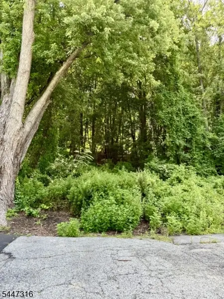 19 Mountain View St, Hamburg, NJ 07419 - #3