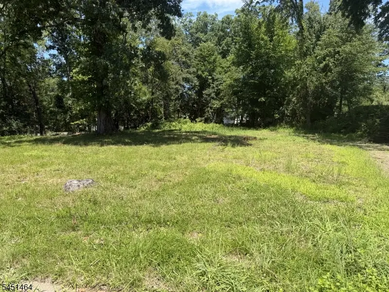 19 Montgomery Ave, Montville, NJ 07045 - #1