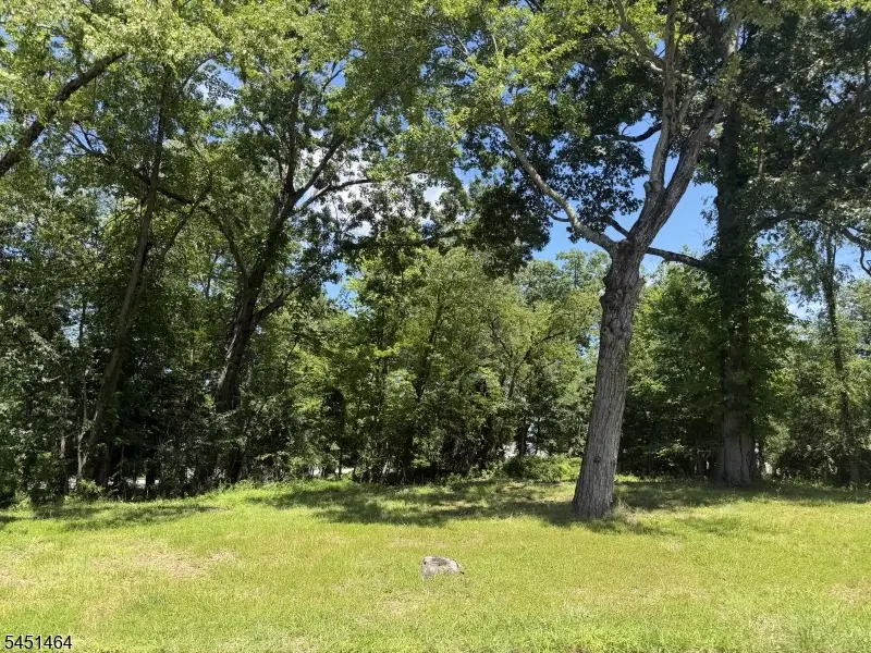 19 Montgomery Ave, Montville, NJ 07045 - #3
