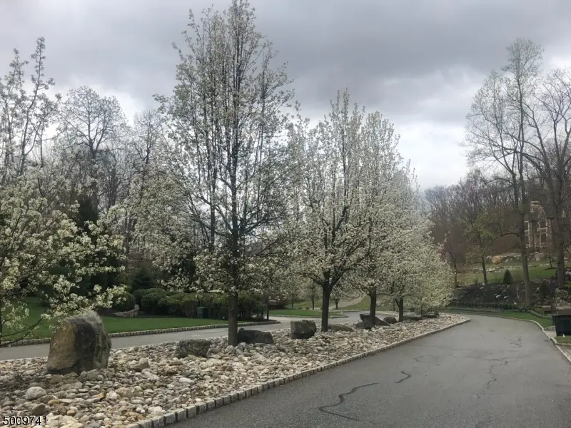 8 Quarry Mountain Ln, Montville, NJ 07045 - #2